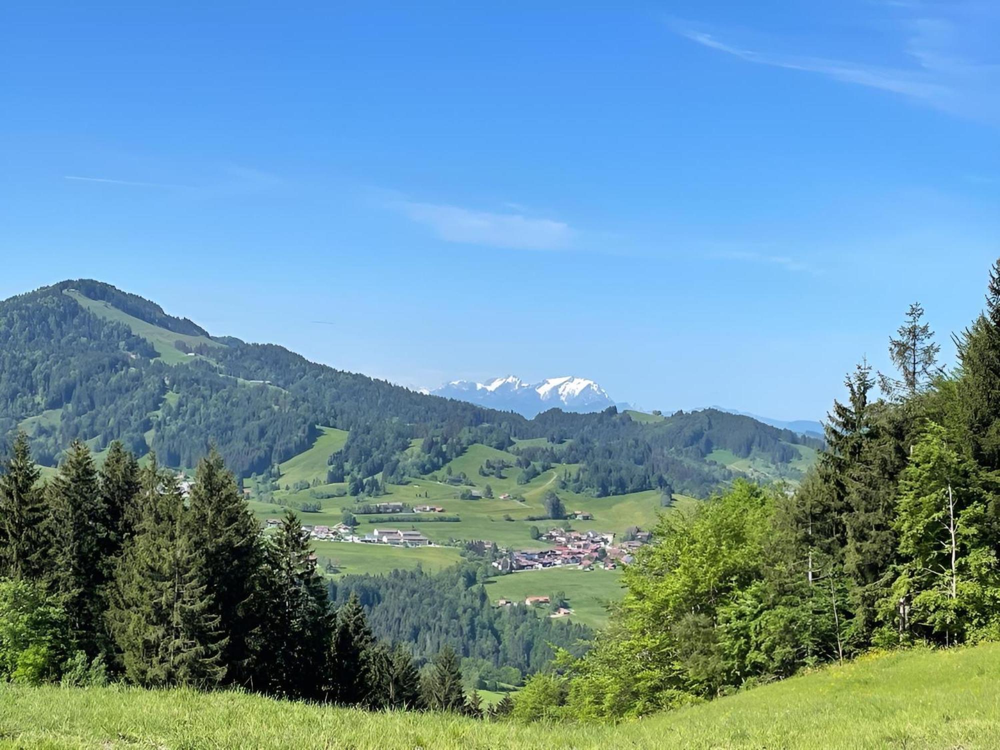 Kuh'Les Hideaway Steibis 3-Zimmer Ferienwohnung 55 M² Oberstaufen Kültér fotó