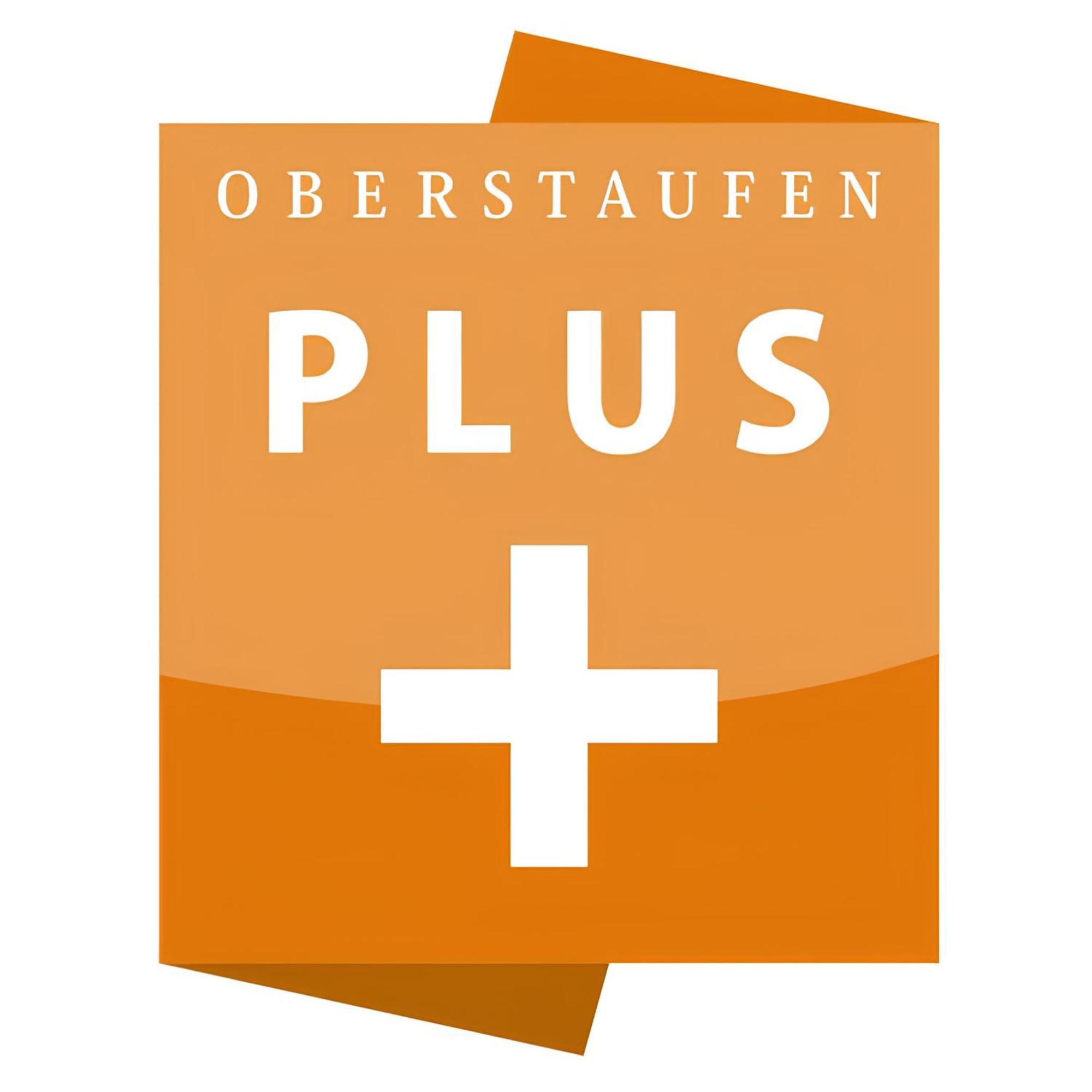 Kuh'Les Hideaway Steibis 3-Zimmer Ferienwohnung 55 M² Oberstaufen Kültér fotó
