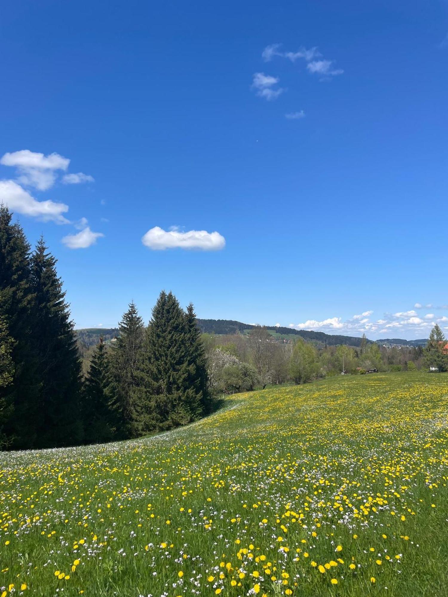 Kuh'Les Hideaway Steibis 3-Zimmer Ferienwohnung 55 M² Oberstaufen Kültér fotó